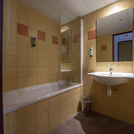 Logis Le Commerce מלון Navarrenx