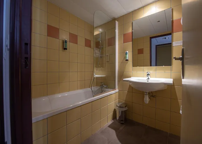 Logis Le Commerce Hotel Navarrenx